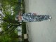 Thumbs/tn_Dsc07181.jpg