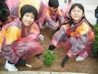 tree27.jpg (588kb)